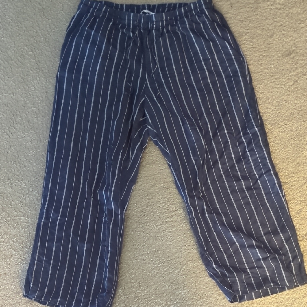 Women's Blue Linen Striped Pants